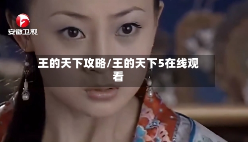 王的天下攻略/王的天下5在线观看-第1张图片