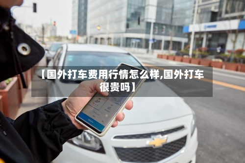 【国外打车费用行情怎么样,国外打车很贵吗】-第1张图片