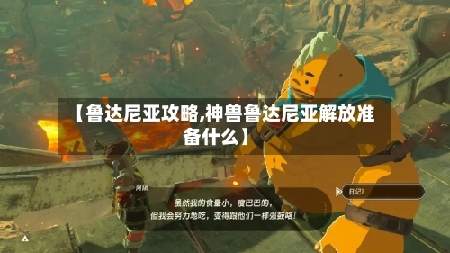 【鲁达尼亚攻略,神兽鲁达尼亚解放准备什么】