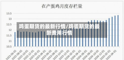 鸡蛋期货的最新行情/鸡蛋期货的最新费用行情-第2张图片