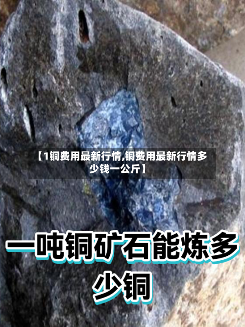 【1铜费用最新行情,铜费用最新行情多少钱一公斤】-第2张图片