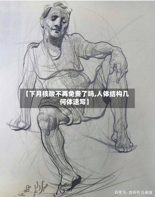 【下月核酸不再免费了吗,人体结构几何体速写】-第2张图片