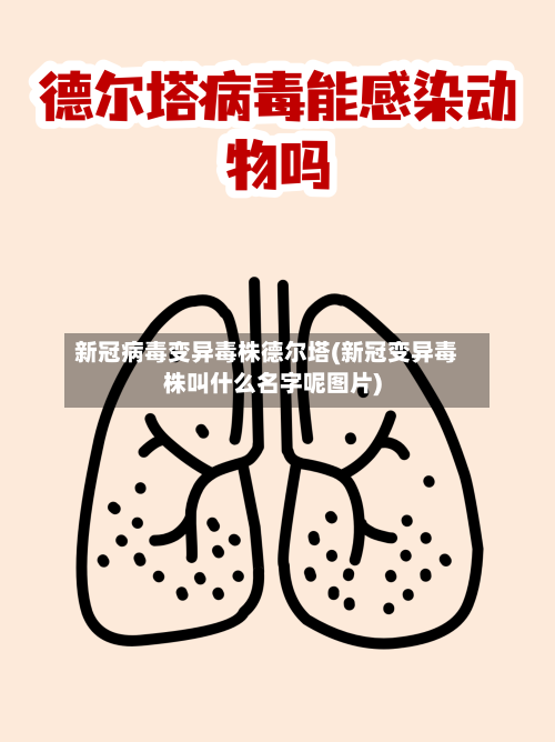 新冠病毒变异毒株德尔塔(新冠变异毒株叫什么名字呢图片)-第1张图片