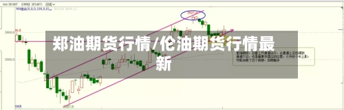 郑油期货行情/伦油期货行情最新-第3张图片