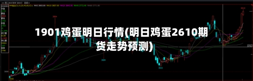 1901鸡蛋明日行情(明日鸡蛋2610期货走势预测)-第2张图片