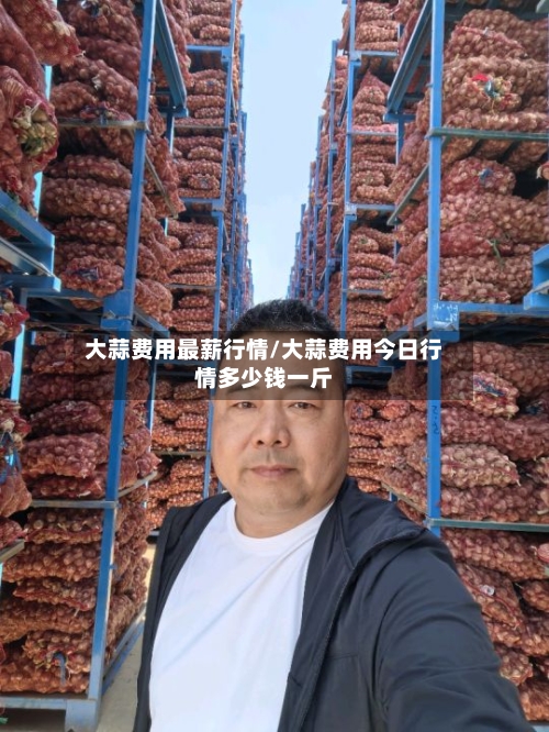 大蒜费用最薪行情/大蒜费用今日行情多少钱一斤