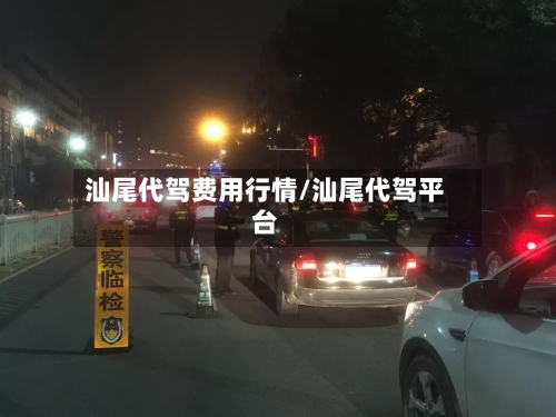 汕尾代驾费用行情/汕尾代驾平台