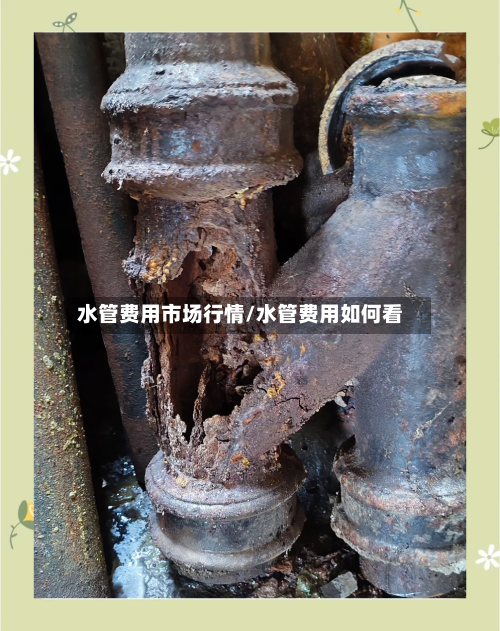 水管费用市场行情/水管费用如何看