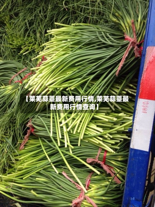 【莱芜蒜薹最新费用行情,莱芜蒜薹最新费用行情查询】